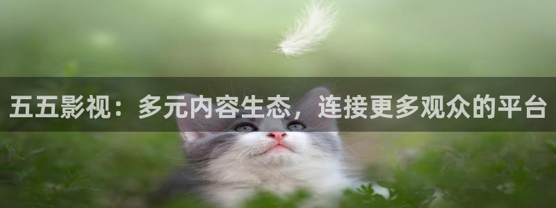 金牌電視：五五影視：多元內容生態，連接更多觀眾的平臺