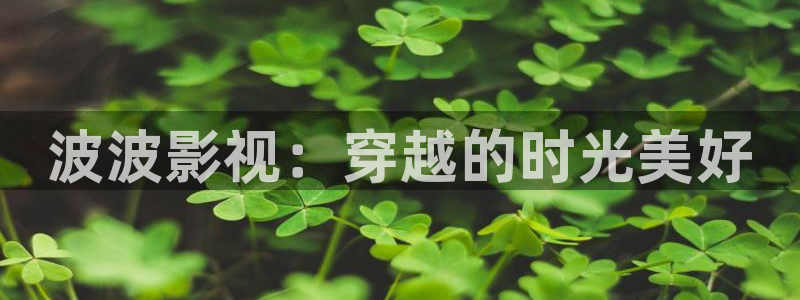 金牌影視大全：波波影視：穿越的時光美好