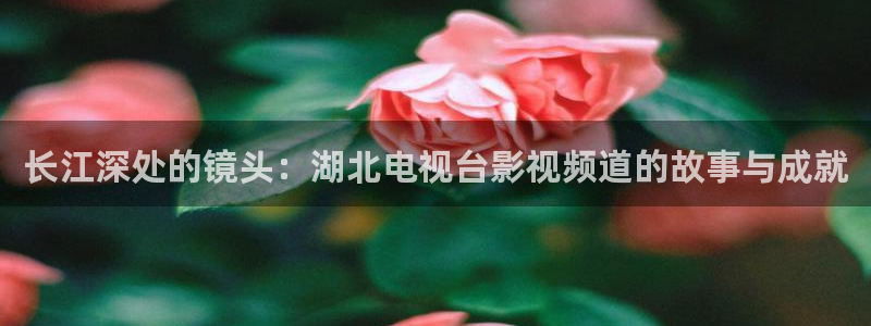 金牌班長電影：長江深處的鏡頭：湖北電視臺(tái)影視頻道的故事與成就